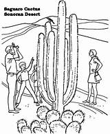 Desert Coloring Pages Sahara Cactus Sonoran Ecosystem Drawing Biome Getdrawings Getcolorings Colori sketch template