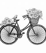 Vintage Bicycle Drawing Bicicleta Days Country Stamp Rubber Flowers Stamps Individuals Crafty Coloring Pages Bike Unmounted Basket Bikes Desenho Tattoo sketch template