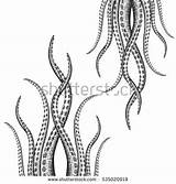 Tentacle Coloring Designlooter Drawn Illustrations Hand sketch template