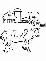 Coloring Cow Pages Printable Animal Kids Drawing Beef Cows Clipart Lesson Plans Library Sheet Getdrawings Popular Books sketch template