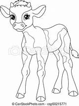Calf Coloring Golden Clipart Pages Getcolorings Getdrawings Clipground sketch template