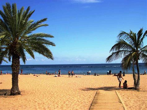 tenerife canary islands  travel guide