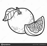 Grapefruit Pamplemousse Coloriage sketch template