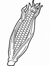 Corn Sweet Drawing Getdrawings Coloring sketch template