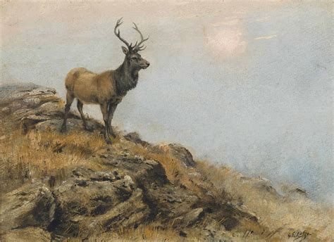 george edward lodge 1860 1954 stag early morning christie s