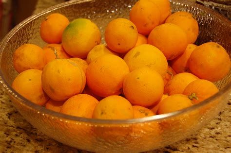 homemade sweet orange marmalade   bitter type   degree