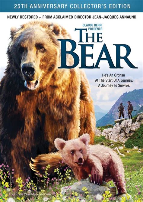 bear  dvd  cover