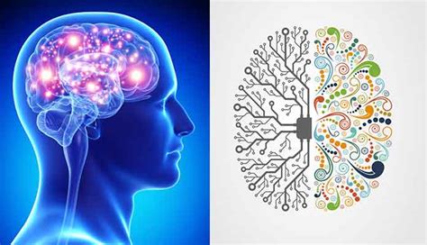 Ways To Boost The Brain Power Hours Tv