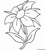 Flowers Flower Coloring Pages Drawing Printable Line Beautiful Hibiscus Summer Draw Color Clip Print Drawings Kids Jasmine Outline Sheets Templates sketch template