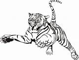 Liger Coloring Pages Getdrawings sketch template