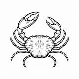 Crab Hand Crabe Vecteezy Vecteurs Ressources sketch template