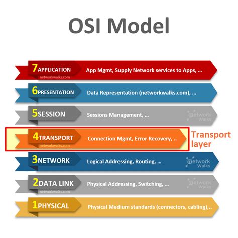 transport layer  osi model layer  networkwalks academy