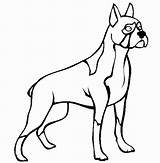 Boxer Dog Coloring Pages Drawing Puppy Line Standing Tall Police Clipart Print Colouring Bloodhound Printable Color Clipartmag Getcolorings Size Cliparts sketch template