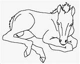 Filly Pferde Einzigartig Beratung Malvorlage sketch template