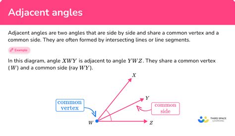 adjacent angles math steps examples questions