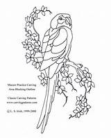 Carving Wood Patterns Printable Pattern Kasco Birds Burning Designs Tracing Animal Animals Outline Intarsia Macaw Avery Nice sketch template
