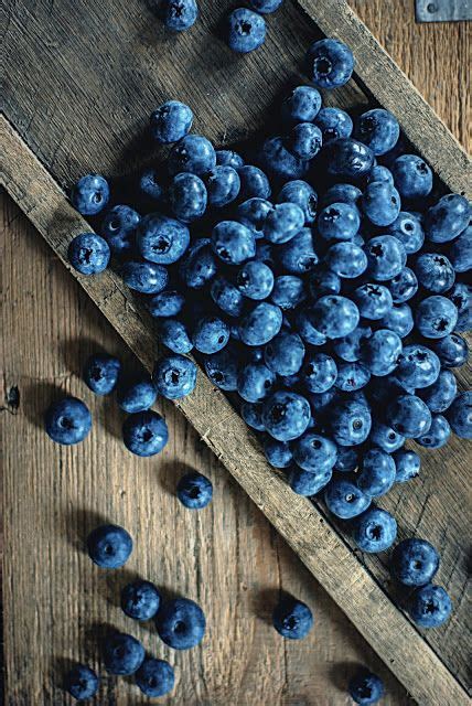 255 best everything blueberries images on pinterest blueberries