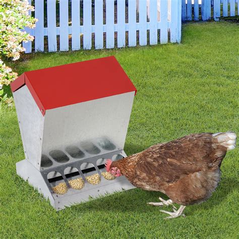 auto chicken feeder galvanized steel poultry feeders   chickens lbs ebay