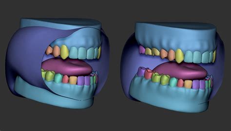 Imm Zbrush Mouth 3d Model Cgtrader
