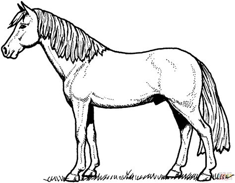 horses head coloring sheet clipart