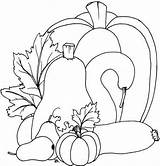 Coloring Pumpkins Printable Gourd Template Patterns Fall Pumpkin Pages Beccy Place Rug Templates Sheet Gourds Block Nice Would Hooked Piece sketch template