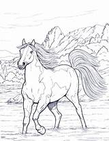 Cavalos Colouring Bestcoloringpagesforkids Caballos Drawing Za Cavalo Pesquisa Bojanje Stranice Konja Odrasle Rider Horeses Andalusian sketch template