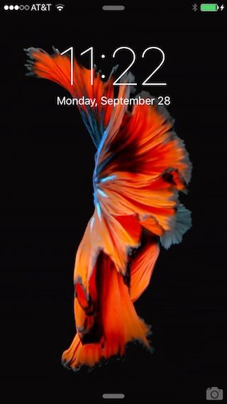 How To Set And Use Live Wallpapers On Iphone 6s