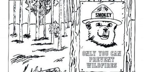 kids invited  enter maine smokey bear coloring contest maine news