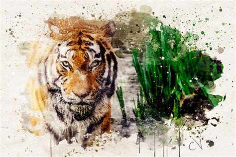 bengal tiger watercolor design digital art  carlos  fine art america