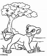 Coloring Lion King Simba Kids Savannah Walking Pages sketch template
