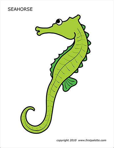 seahorse template preschool