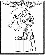 Patrouille Coloriage Stella Skye Christmas Cocker Weihnachten скай Ausmalbilder Jecolorie Coloringhome Sheets раскраска Patrulla Maternelle Canina sketch template