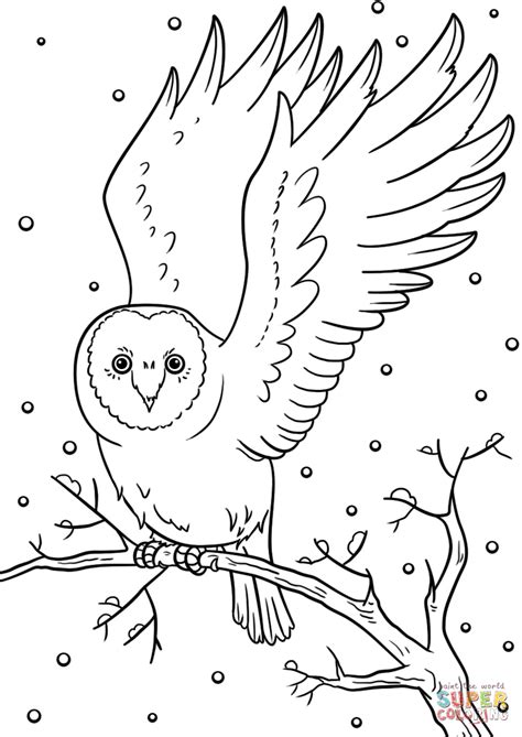 winter owl coloring page  printable coloring pages