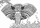 Coloring Elephant Africa Pages Adult Adults sketch template