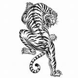 Tiger Coloring Tattoo Pages Head Adult Printable Getcolorings sketch template