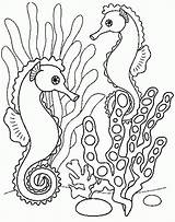 Coloring Pages Holidays Seahorse Print Ausmalbilder Children Para Kids Colorear Seahorses Fische Library Malen Simple Mar Ausmalen Malvorlagen Tiere Caballito sketch template