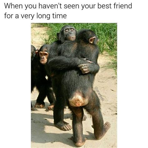 29 bff memes to share with your bestie on national best friend day