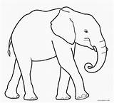 Dibujos Elefantes Elefant Elefante Ausmalbild Cool2bkids Ausdrucken Kostenlos Coloring Paginas Malvorlagen sketch template