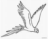 Parrot Coloring Pages Kids Flying Printable Cool2bkids Birds Drawing Bird Drawings Creativity Wings Animal Animals Choose Board sketch template