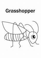 Grasshopper Ant Insect Hellokids sketch template