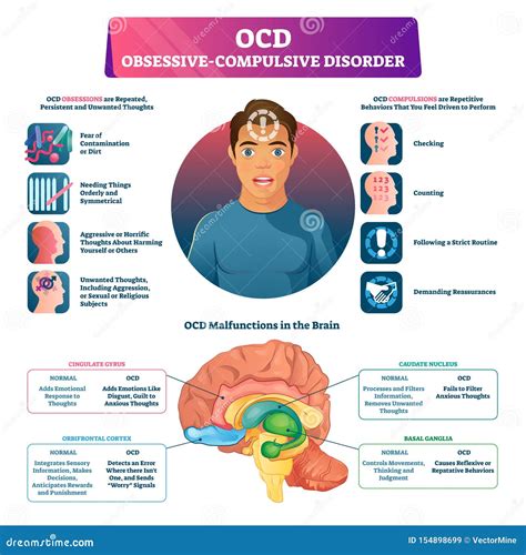 ocd obsessive compulsive disorder labeled explanation vector illustration stock vector