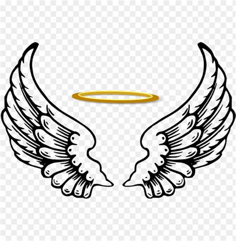 angel wings  halo angel halo wing png image  transparent