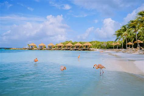 top rated     aruba attractions  activities holiday parrots