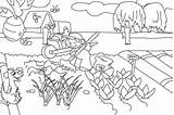 Vegetable Garden Coloring Pages Printable Drawing Kids Colouring Color Gardening Farm Getcolorings Food Vegetables Ecoloring Getdrawings Lưu Từ Sketchite ã sketch template