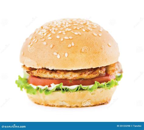 hamburger  meat stock photo image  sheet food