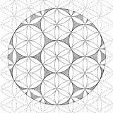 Geometric Sacred Geometry Coloring Mandala Patterns Pattern Pages Designs Choose Board Book Math Metatron sketch template