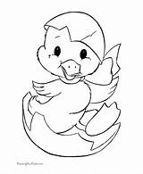 Easter Coloring Pages Cute Duck Print Bunny Printing Help sketch template