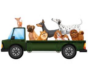 servicio de transporte para mascotas en el df