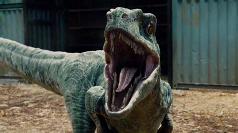 Velociraptors Were Way Smaller Than You Think Why Jurassic World S