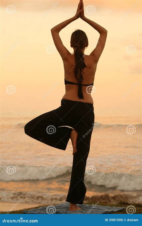 yoga  sunset stock photo image  position flexible